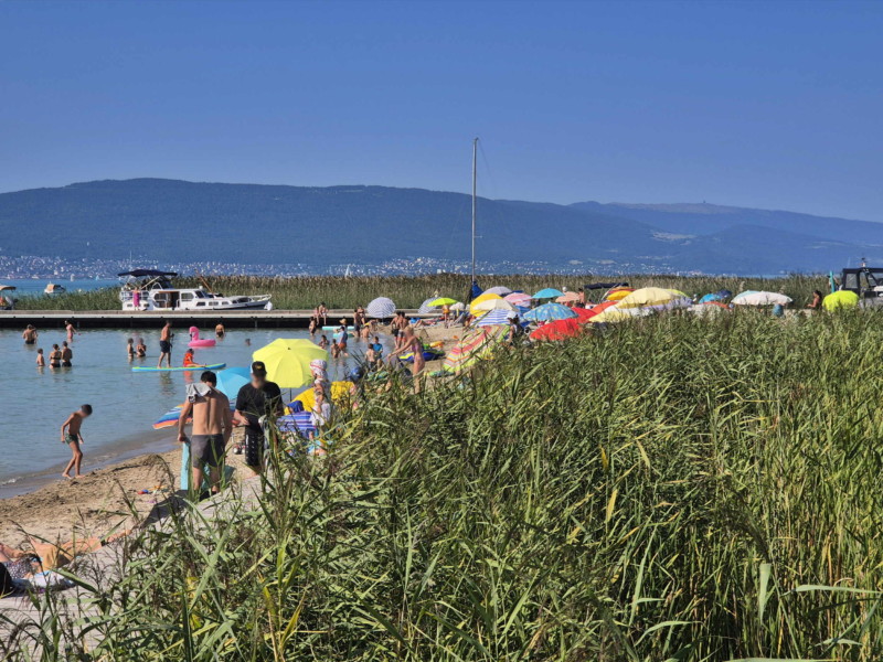 plage, Grande Cariçaie. Plage de Gletterens, Broye fribourgeoise, lac de Neuchâtel.