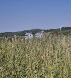 🏖️ Plage de Gletterens
