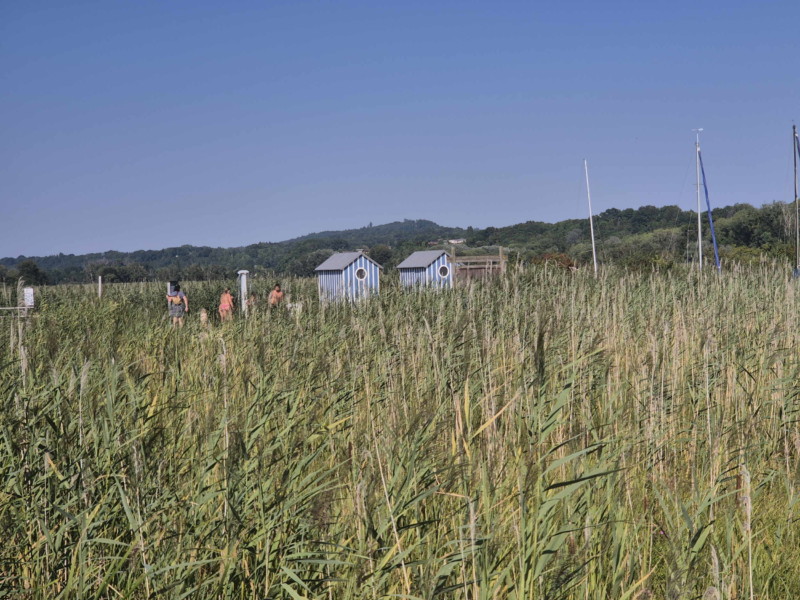 Toilettes/Change/Douche. Plage de Gletterens, Broye fribourgeoise, lac de Neuchâtel.