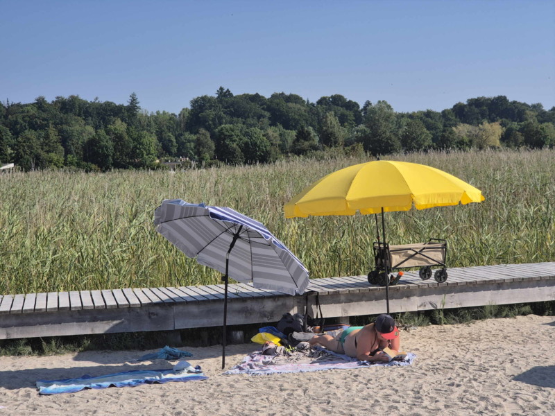 plage, Grande Cariçaie. Plage de Gletterens, Broye fribourgeoise, lac de Neuchâtel.