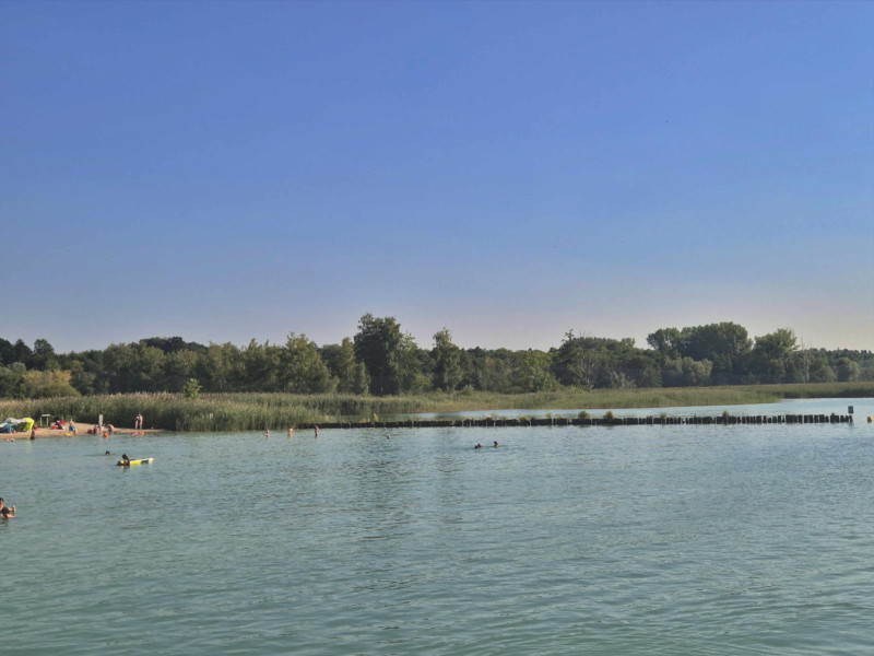 Côté Ouest, Grande Cariçaie. Plage de Gletterens, Broye fribourgeoise, lac de Neuchâtel.