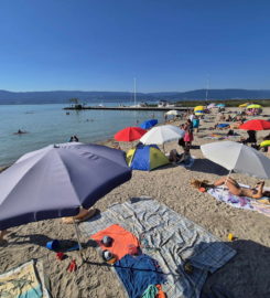 🏖️ Plage de Gletterens