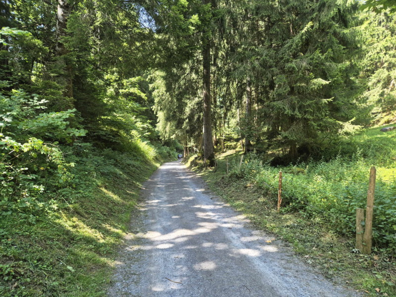 Chemin des Journelles. Balade par la Galerie Défago, Champéry, Val d'Illiez.