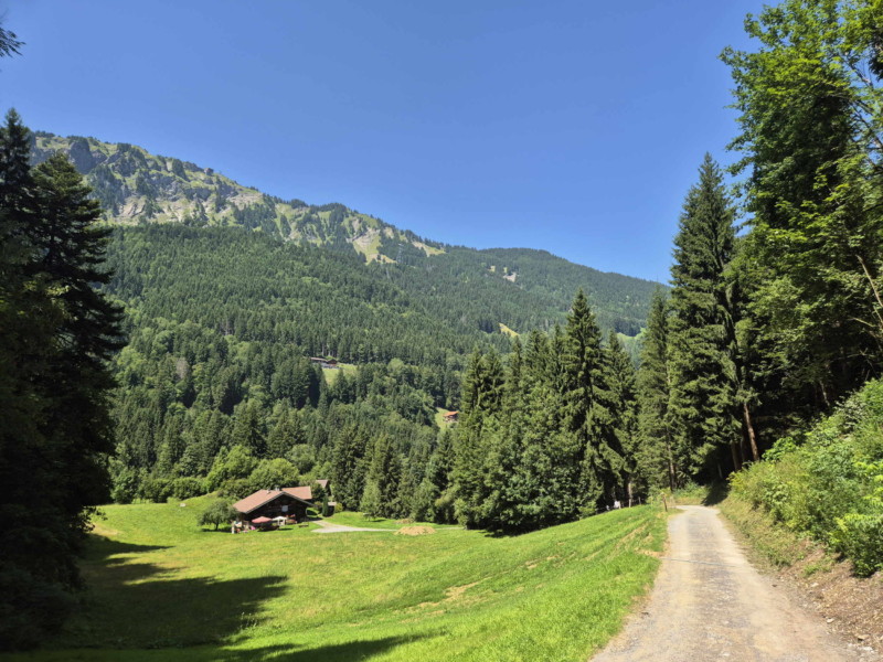 Le chemin des Journelles. Accrobranche, Organic Adventure Park. Champéry, Val d'Illiez, Bas-Valais.