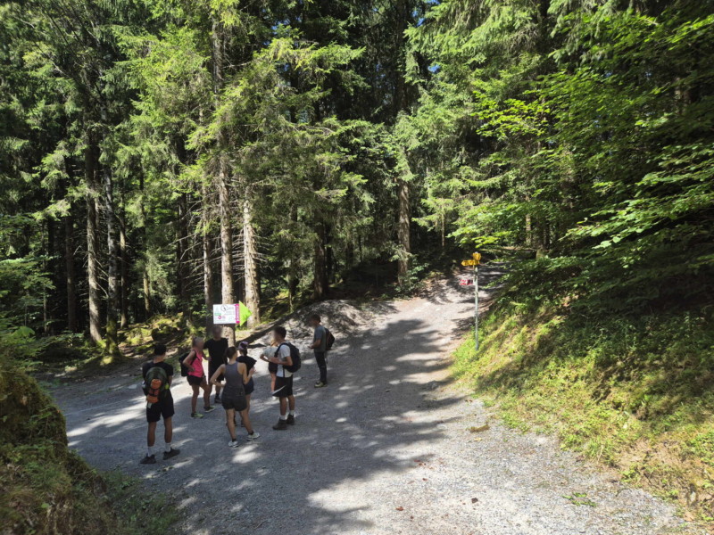 Le chemin pour rejoindre la Galerie Défago passe par l'accrobranche Organic Adventure Park. Le chemin pour rejoindre la Galerie Défago passe par l'accrobranche Organic Adventure Park. Le chemin sur la droite qui quitte le chemin des Journelles. Balade par la Galerie Défago, Champéry, Val d'Illiez.