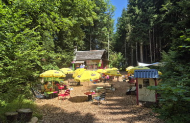 🌲⚡ Organic Adventure Park – Champéry