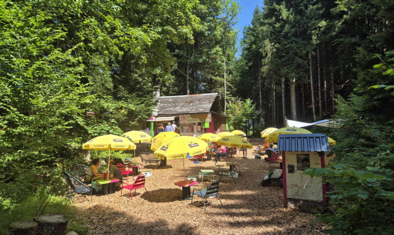 🌲⚡ Organic Adventure Park – Champéry