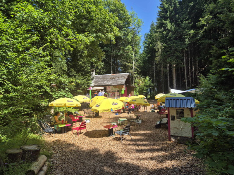 La réception d'Organic Adventure Park. Le chemin pour rejoindre la Galerie Défago passe par l'accrobranche Organic Adventure Park. Balade par la Galerie Défago, Champéry, Val d'Illiez.