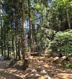 🌲⚡ Organic Adventure Park – Champéry