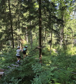 🌲⚡ Organic Adventure Park – Champéry