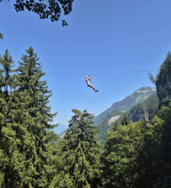 🌲⚡ Organic Adventure Park – Champéry
