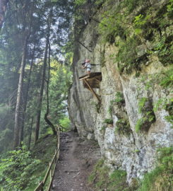 🌲⚡ Organic Adventure Park – Champéry