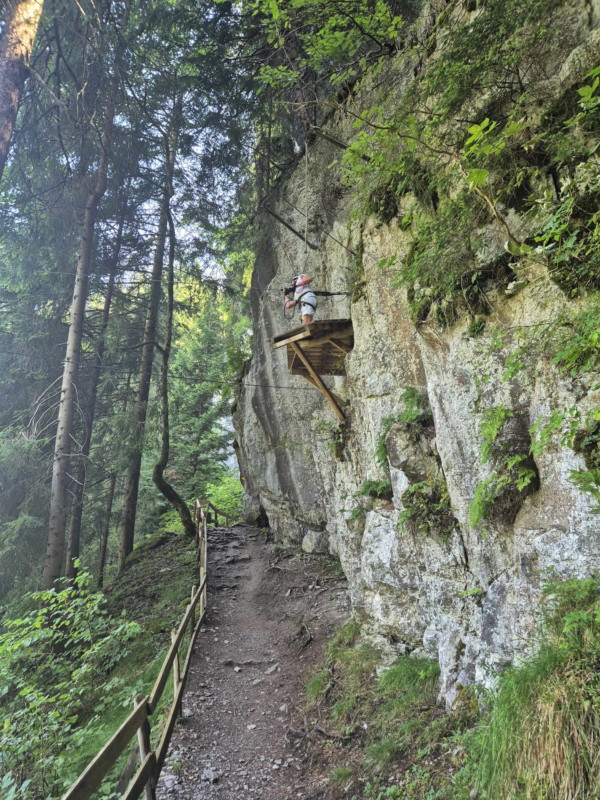 Tyroliennes. Accrobranche, Organic Adventure Park. Champéry, Val d'Illiez, Bas-Valais.