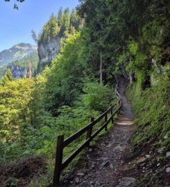 ⛰️ Galerie Défago – Champéry
