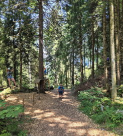 🌲⚡ Organic Adventure Park – Champéry