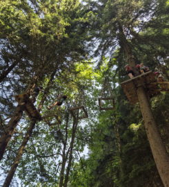 🌲⚡ Organic Adventure Park – Champéry