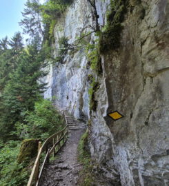 ⛰️ Galerie Défago – Champéry