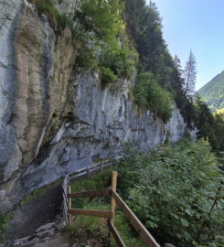 ⛰️ Galerie Défago – Champéry