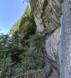 ⛰️ Galerie Défago – Champéry