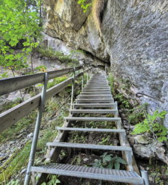 ⛰️ Galerie Défago – Champéry