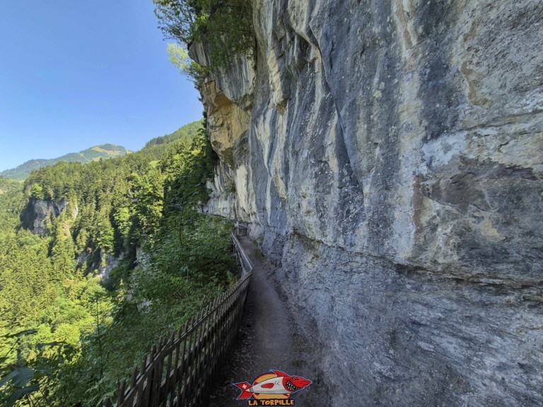 20250809 144503 galerie defago champery