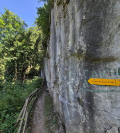 ⛰️ Galerie Défago – Champéry