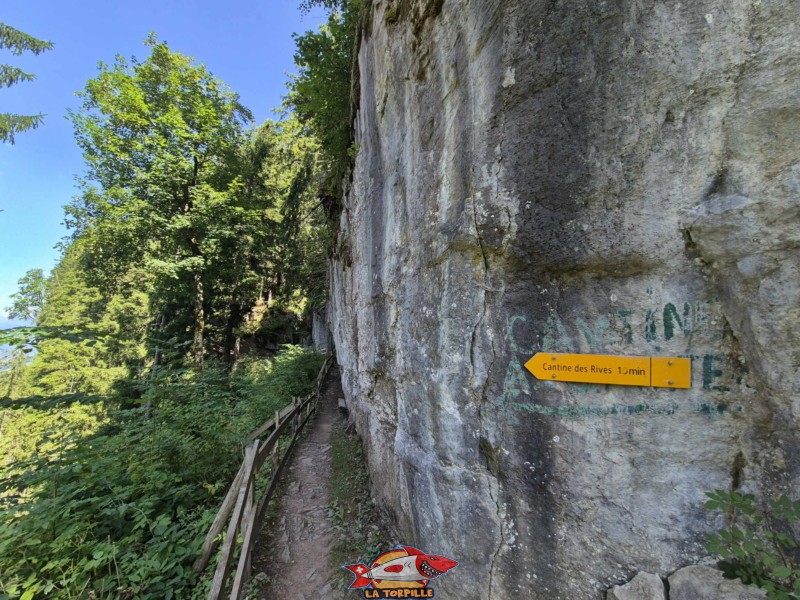 dernière partie de la galerie Défago consiste en une montée dans la forêt. Balade par la Galerie Défago, Champéry, Val d'Illiez.