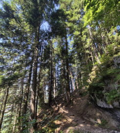 ⛰️ Galerie Défago – Champéry