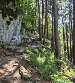 ⛰️ Galerie Défago – Champéry
