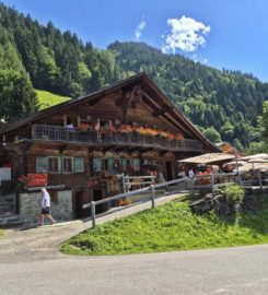 ⛰️ Galerie Défago – Champéry