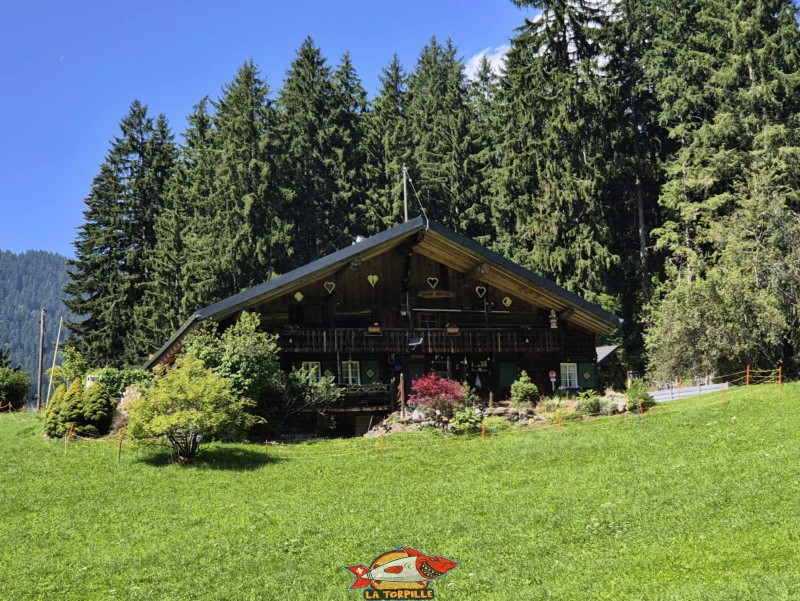Route des Rives. Balade par la Galerie Défago, Champéry, Val d'Illiez.