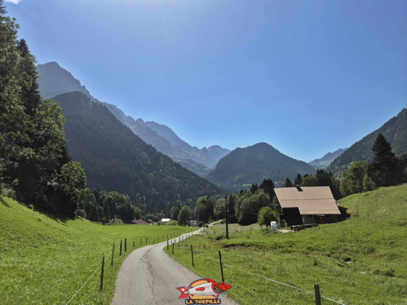 Route des Rives. Balade par la Galerie Défago, Champéry, Val d'Illiez.