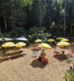 🌲⚡ Organic Adventure Park – Champéry