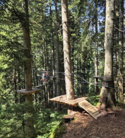 🌲⚡ Organic Adventure Park – Champéry