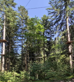 🌲⚡ Organic Adventure Park – Champéry