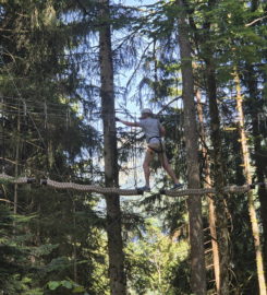 🌲⚡ Organic Adventure Park – Champéry