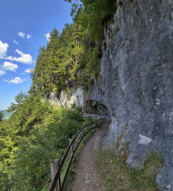 ⛰️ Galerie Défago – Champéry