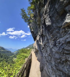 ⛰️ Galerie Défago – Champéry