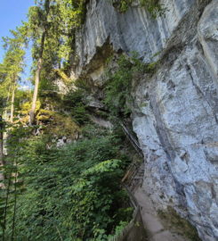 ⛰️ Galerie Défago – Champéry