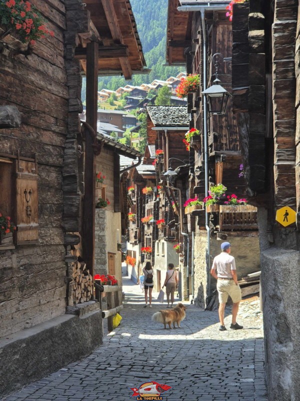 Les chalets de Grimentz.