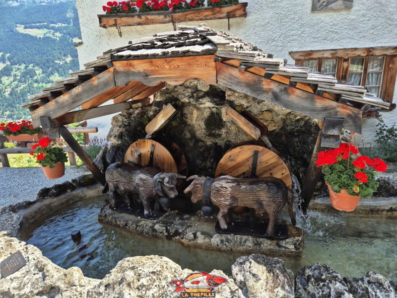 Une fontaine décorée de vache d'Hérens en plein combat. Une fontaine décorée de vache d'Hérens en plein combat.