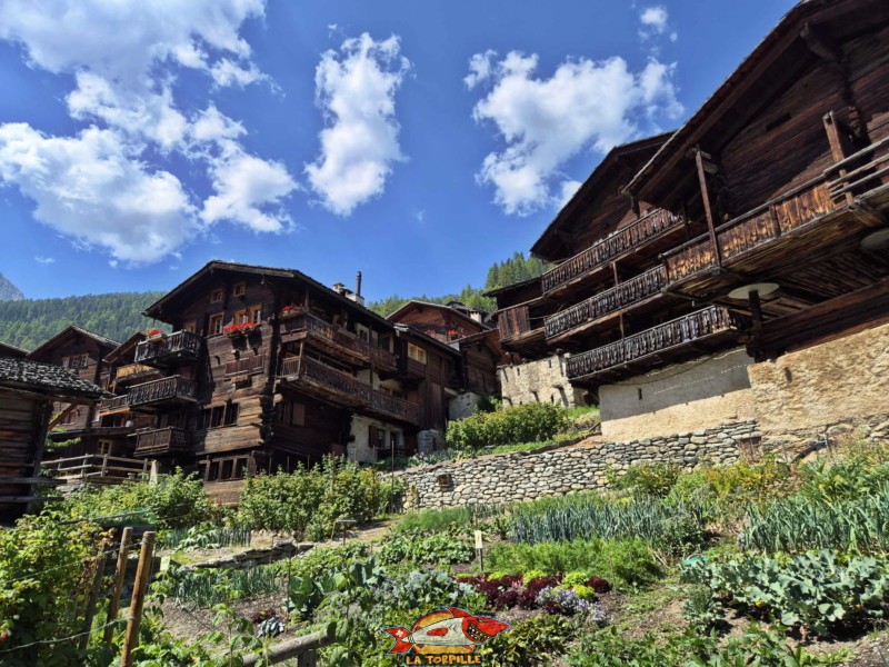 Jardins potagers. Village de Grimentz, val d'Anniviers, Valais central.