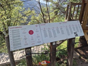 20250810 161221 pont niouc