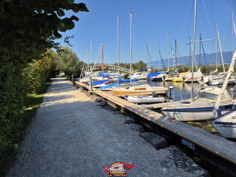 Le chemin en gravier le long du canal au bord duquel sont amarrés des bateaux de plaisance. Plage de Gletterens, Broye fribourgeoise, lac de Neuchâtel.