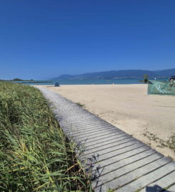🏖️ Plage de Gletterens