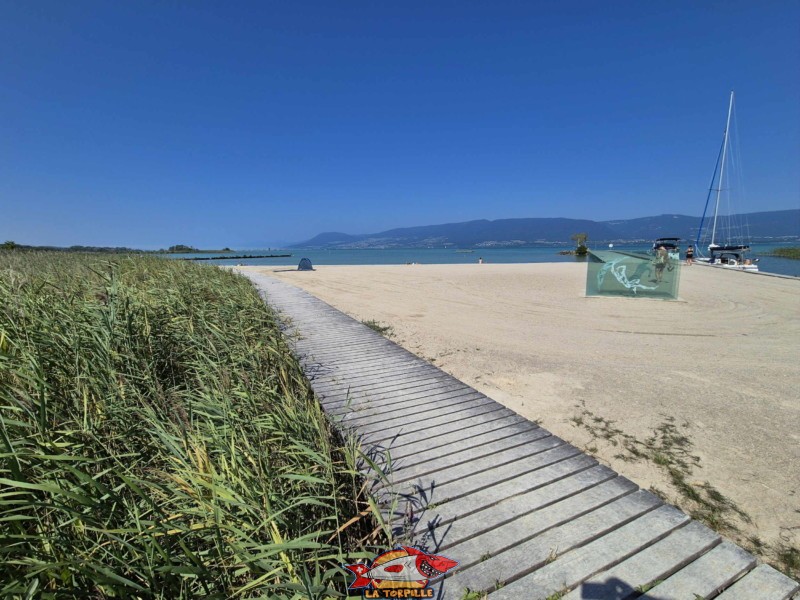 Côté Est. Plage de Gletterens, Broye fribourgeoise, lac de Neuchâtel.