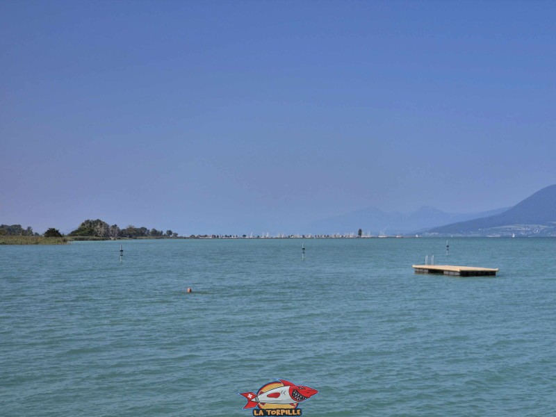 Plateforme. Plage de Gletterens, Broye fribourgeoise, lac de Neuchâtel.