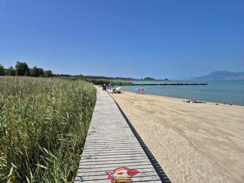 Coté Ouest. Plage de Gletterens, Broye fribourgeoise, lac de Neuchâtel.