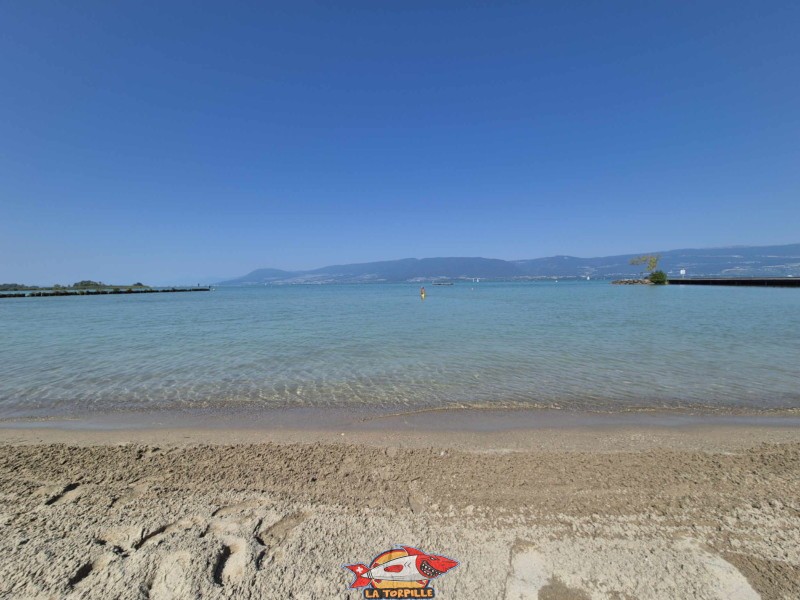 Bord. Plage de Gletterens, Broye fribourgeoise, lac de Neuchâtel.