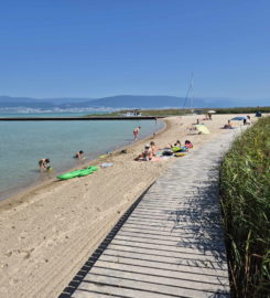 🏖️ Plage de Gletterens